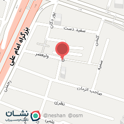 عکس کباب و جوجه کباب سید