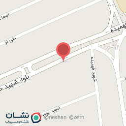 عکس کارشناسی رنگ خودرو سناتور