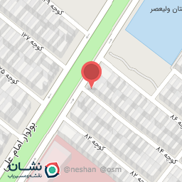 عکس پیتزا ونوس