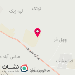 عکس ایمن فلز مزینانی