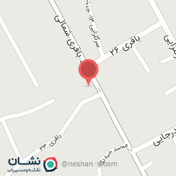 عکس دزدگیر سیاتل