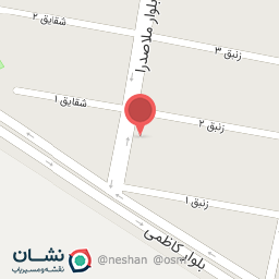 عکس  پیتزا نشاط