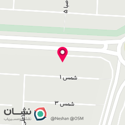 عکس پیتزا زیتون