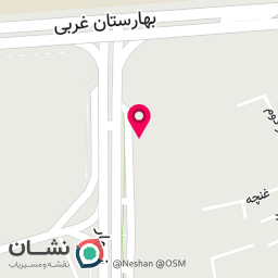 عکس فست فود ونیز