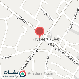 عکس کفش پاناز