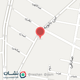 عکس فرش نگین میر عابدینی