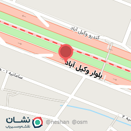 عکس دکتر صفیه حامدی