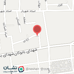 عکس مسجد امام رضا