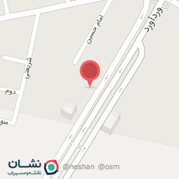 عکس پیتزا برگر تیک