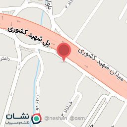 عکس پیتزا تاپس