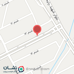 عکس شال و روسری رزا