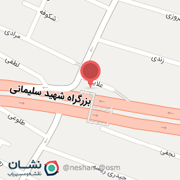 عکس پیتزا داتلی