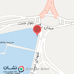 عکس باشگاه شاهد 