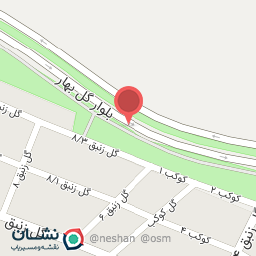 عکس نیروی انتظامی گل بهار