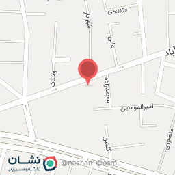 عکس غذای تلفنی ویلی