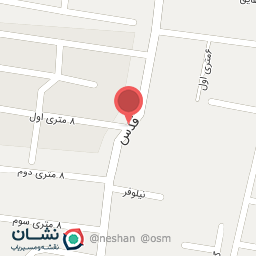 عکس آرایش و پیرایش مسعود و محمدرضا