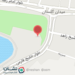 عکس پیتزا برگر و پاچینی دوآتیشه