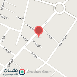 عکس کیف و کفش زردشت