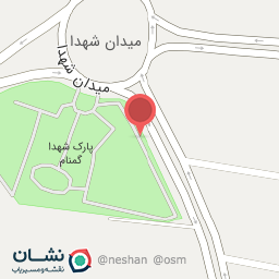 عکس فست فود شامی نو