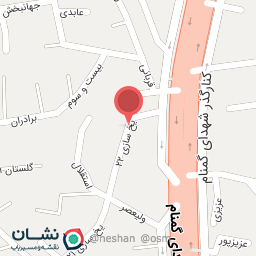 عکس هوش سیستم گیل