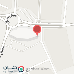 عکس غذای چینی مستر وک