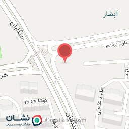 عکس فست‌فود زیو برگر