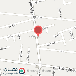 عکس پیتزا پارک