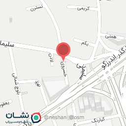 عکس شرکت پشتیبان نرم افراز هلو