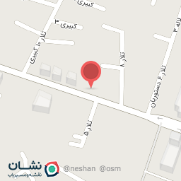 عکس مشاور املاک روشن