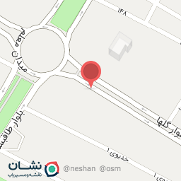 عکس برق خودرو سعید