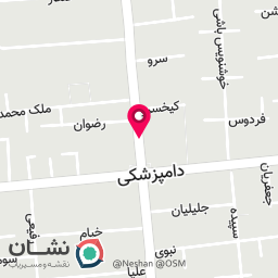 عکس پلیس ناجا