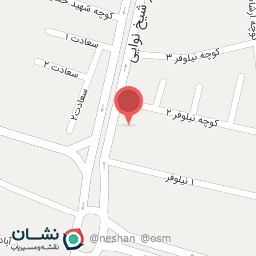 عکس تاکسی تلفنی افق