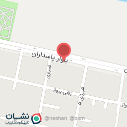 عکس پیتزا پاپوی