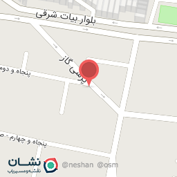 عکس برق خودرو پویا