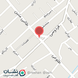 عکس فلافیلو