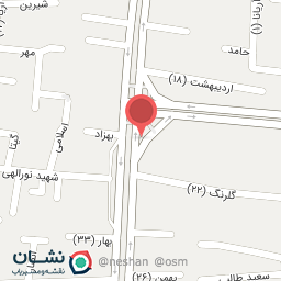 عکس دکتر مهین ربیعی