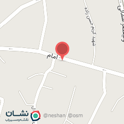 عکس کفش روژین