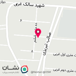 عکس آکادمی سوانا 