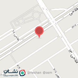 عکس کفش برگ سبز 