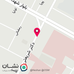 عکس مکانیکی و جلوبندی شاهین
