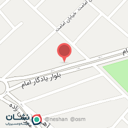 عکس پیتزا 2009