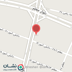 عکس پت شاپ فوکا