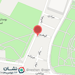 عکس پیتزا ساندویچ زیتون