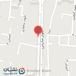 عکس متخصص ارتودنسی دکتر زهرا مینایی