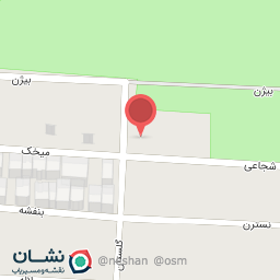 عکس پیتزا در ب در