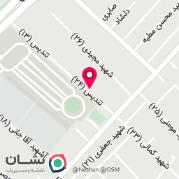 عکس کیف نایس