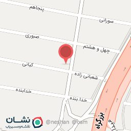 عکس الکتریکی حامد