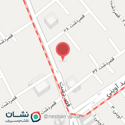 عکس دکتر بنفشه امیرشهر