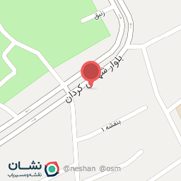 عکس مشاور املاک نگین