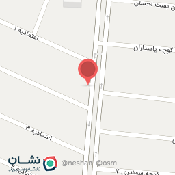 عکس مرغ امیر